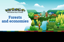 Medzinárodný deň lesov 2026